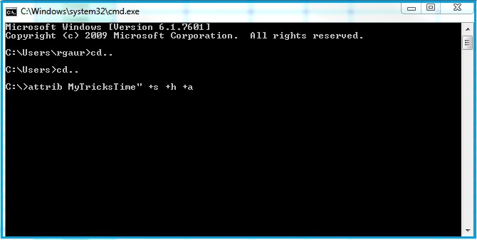 super-hide-the-fiels-using-command-prompt-demo